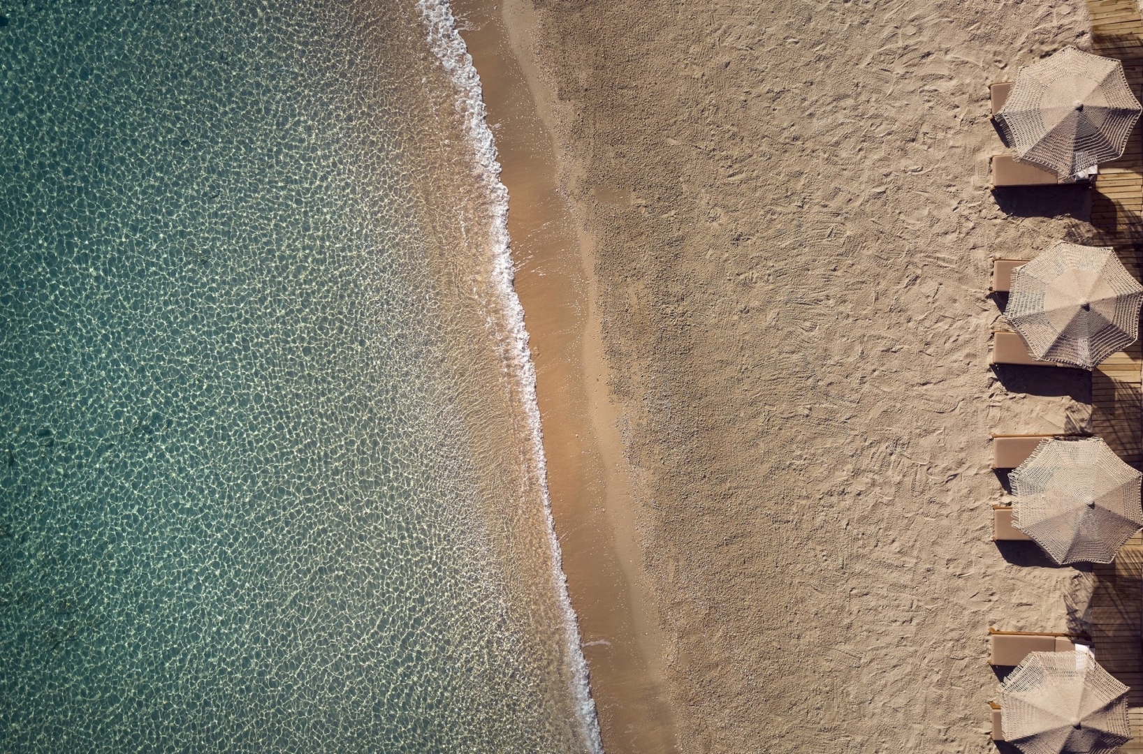 NEW LOW 2024_39 - Copy