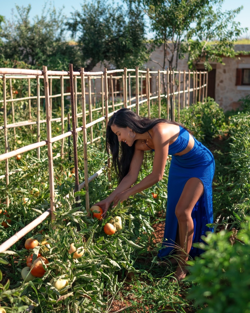 Photo Jul 05 2024, 02 33 32